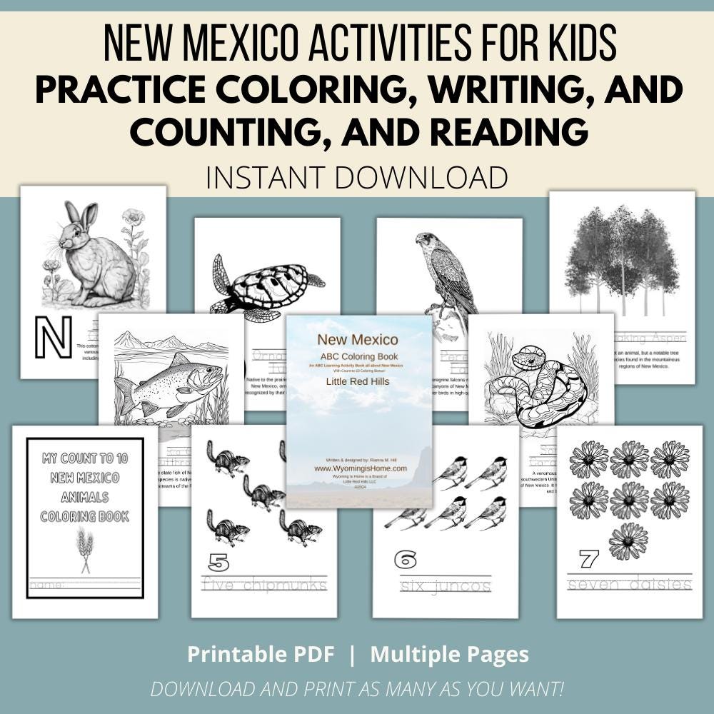 New Mexico ABCs Coloring Book