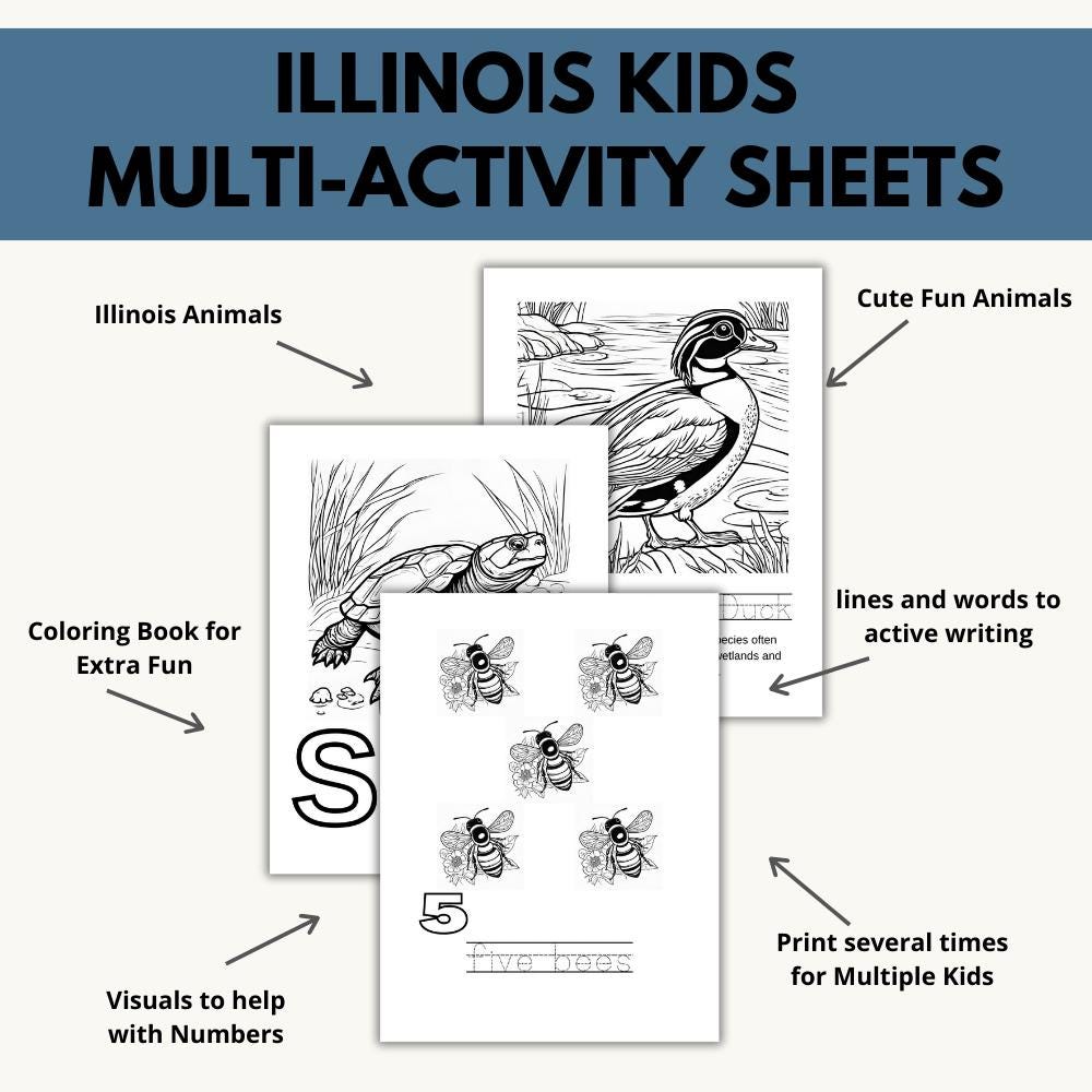 Illinois ABCs Coloring Book