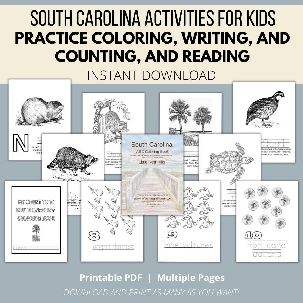 South Carolina ABCs Coloring Book