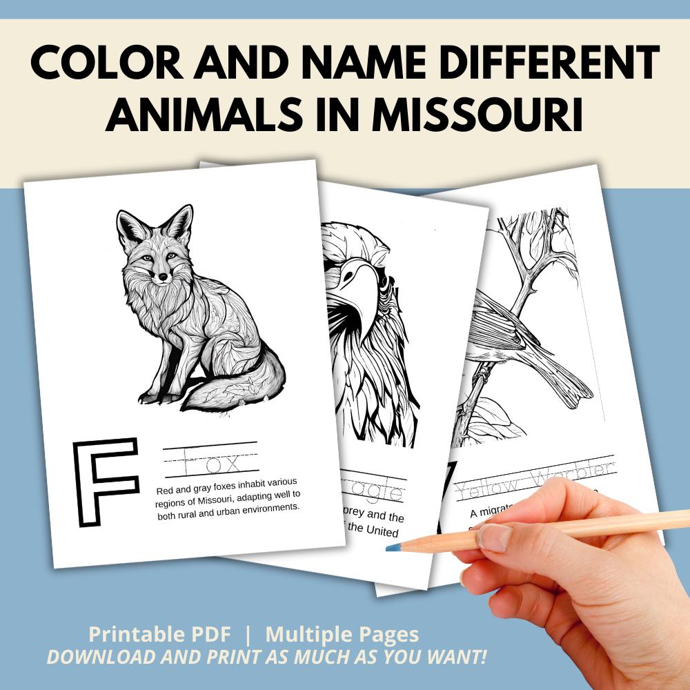 Missouri ABCs Coloring Book