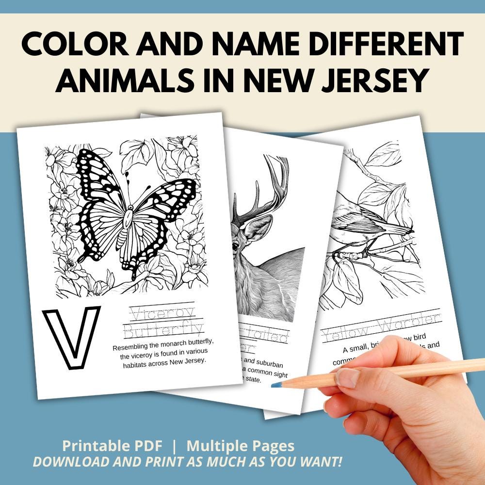 New Jersey ABCs Coloring Book