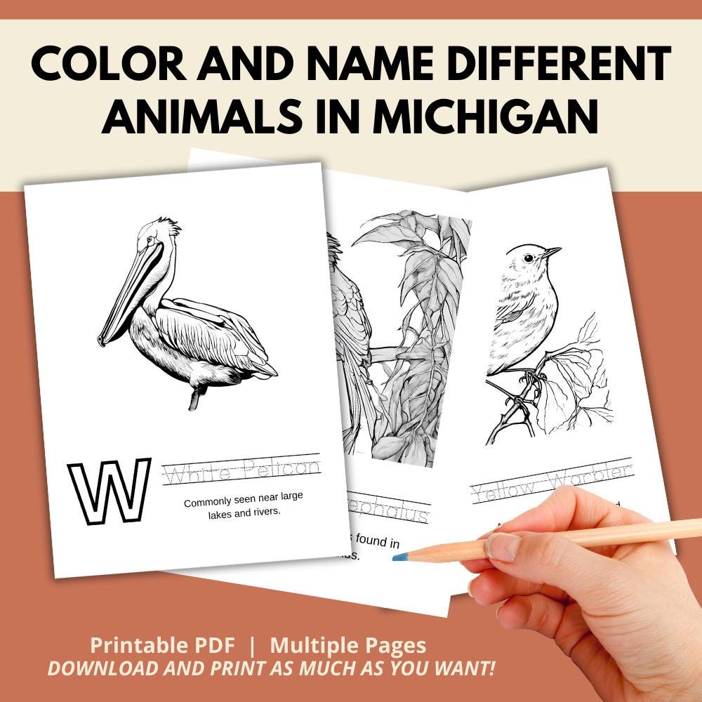 Minnesota ABCs Coloring Book