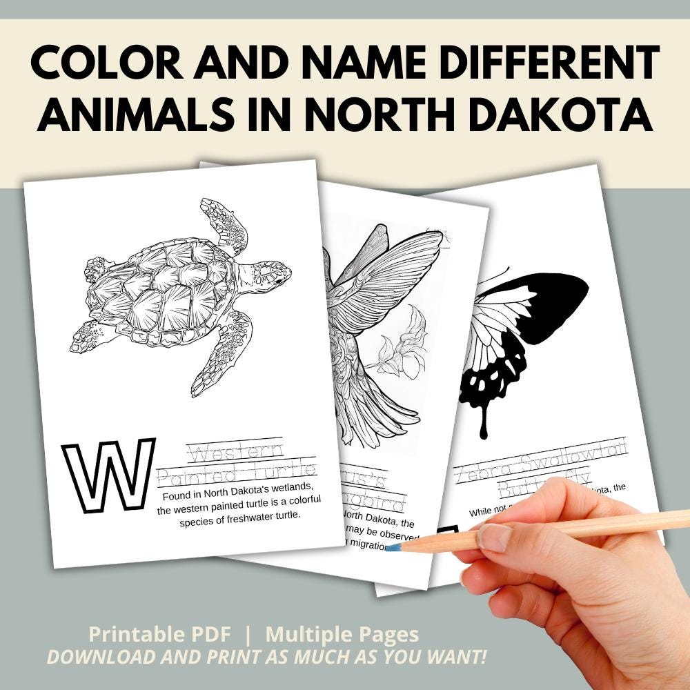 North Dakota ABCs Coloring Book