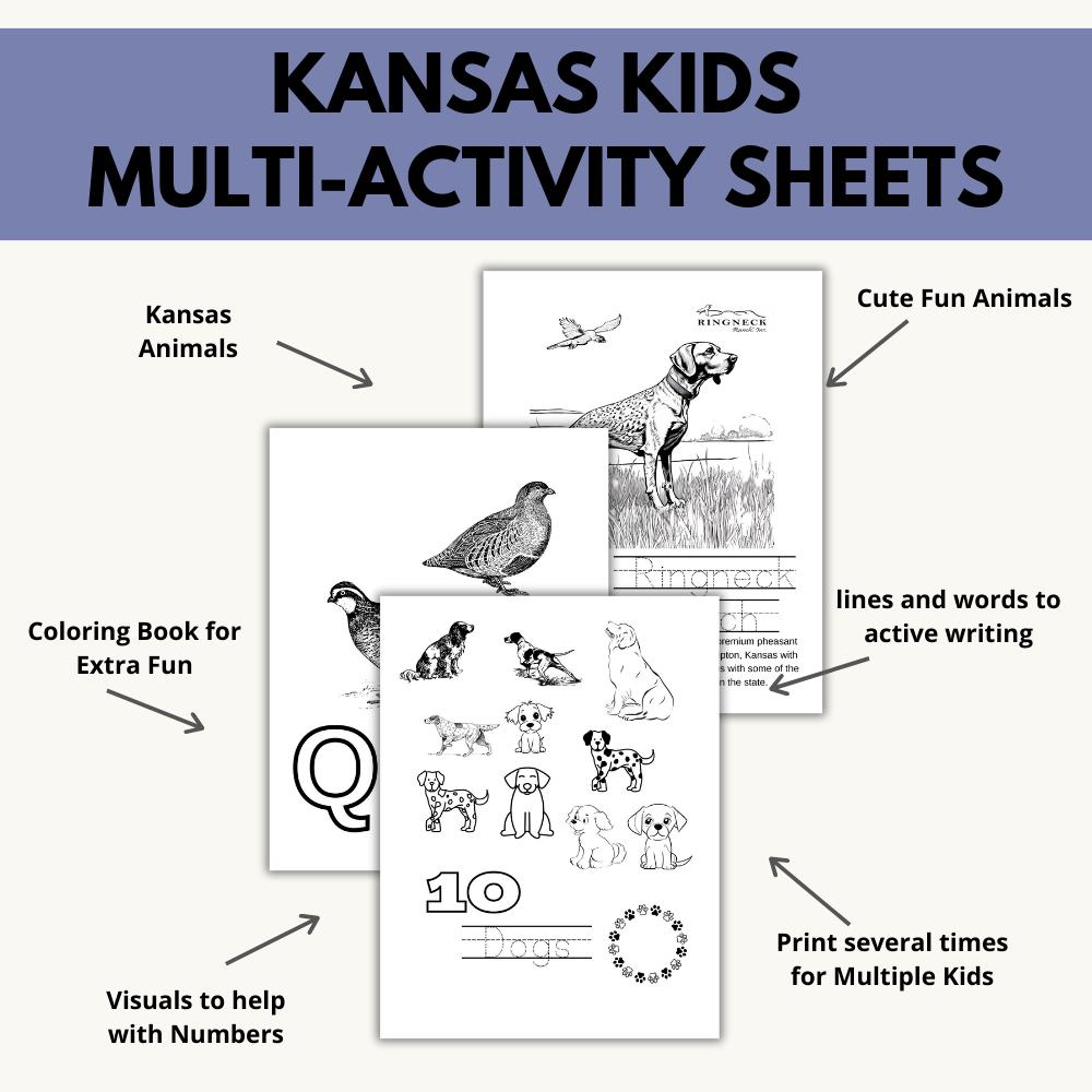 Kansas ABCs Coloring Book