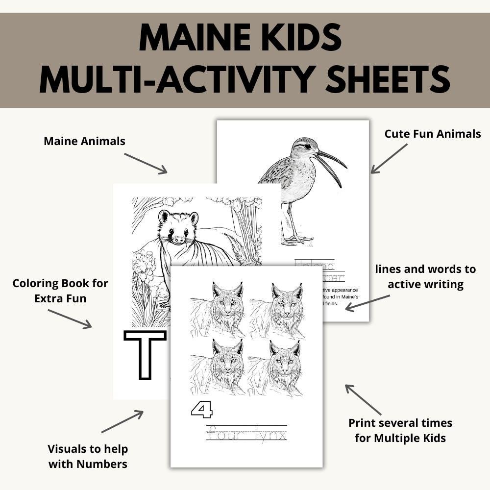Maine ABCs Coloring Book