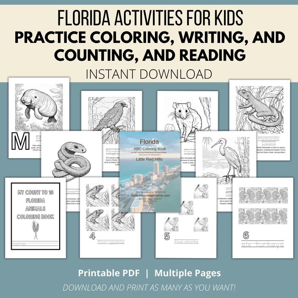 Florida ABCs Coloring Book