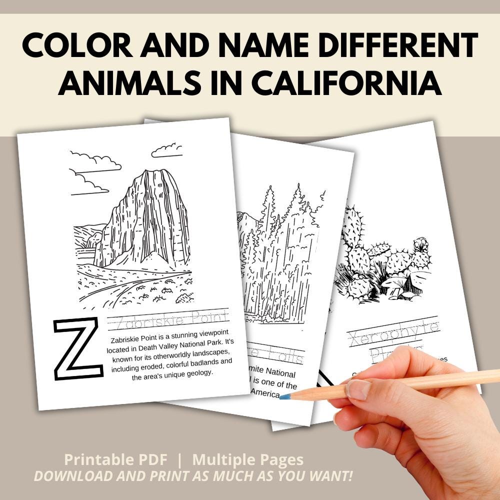 California ABCs Coloring Book
