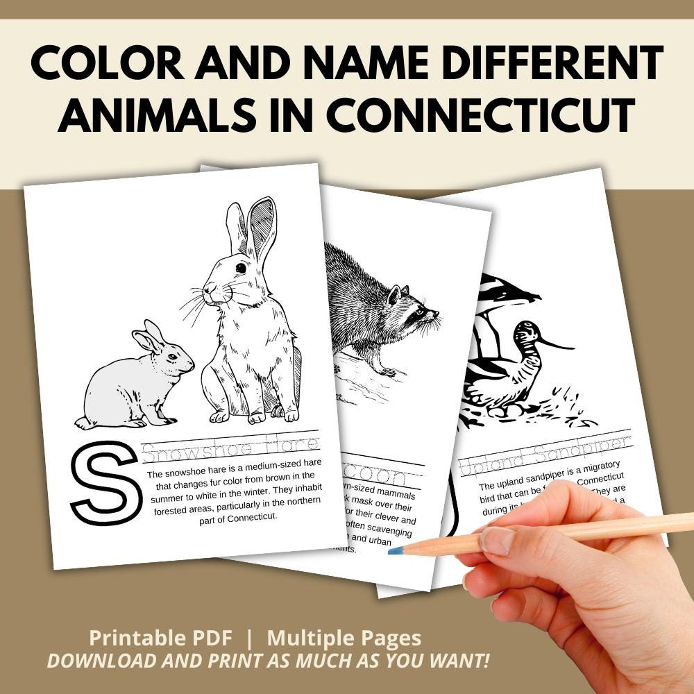 Connecticut ABC Coloring Book