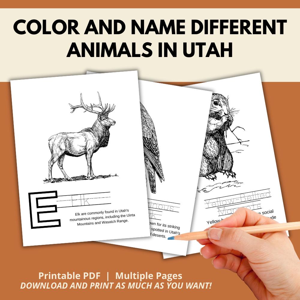 Utah ABCs Coloring Book