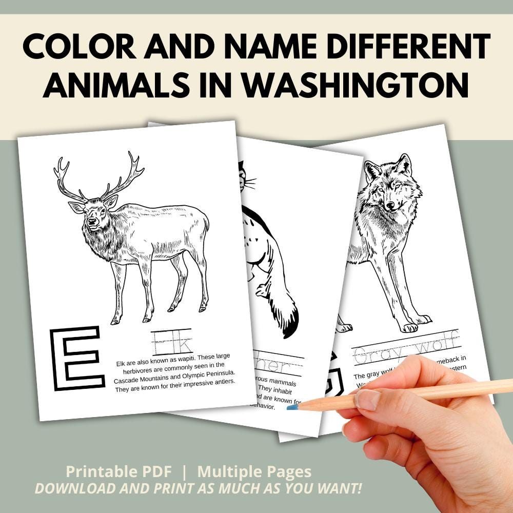 Washington ABCs Coloring Book