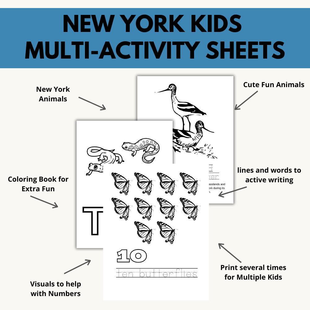 New York ABCs Coloring Book