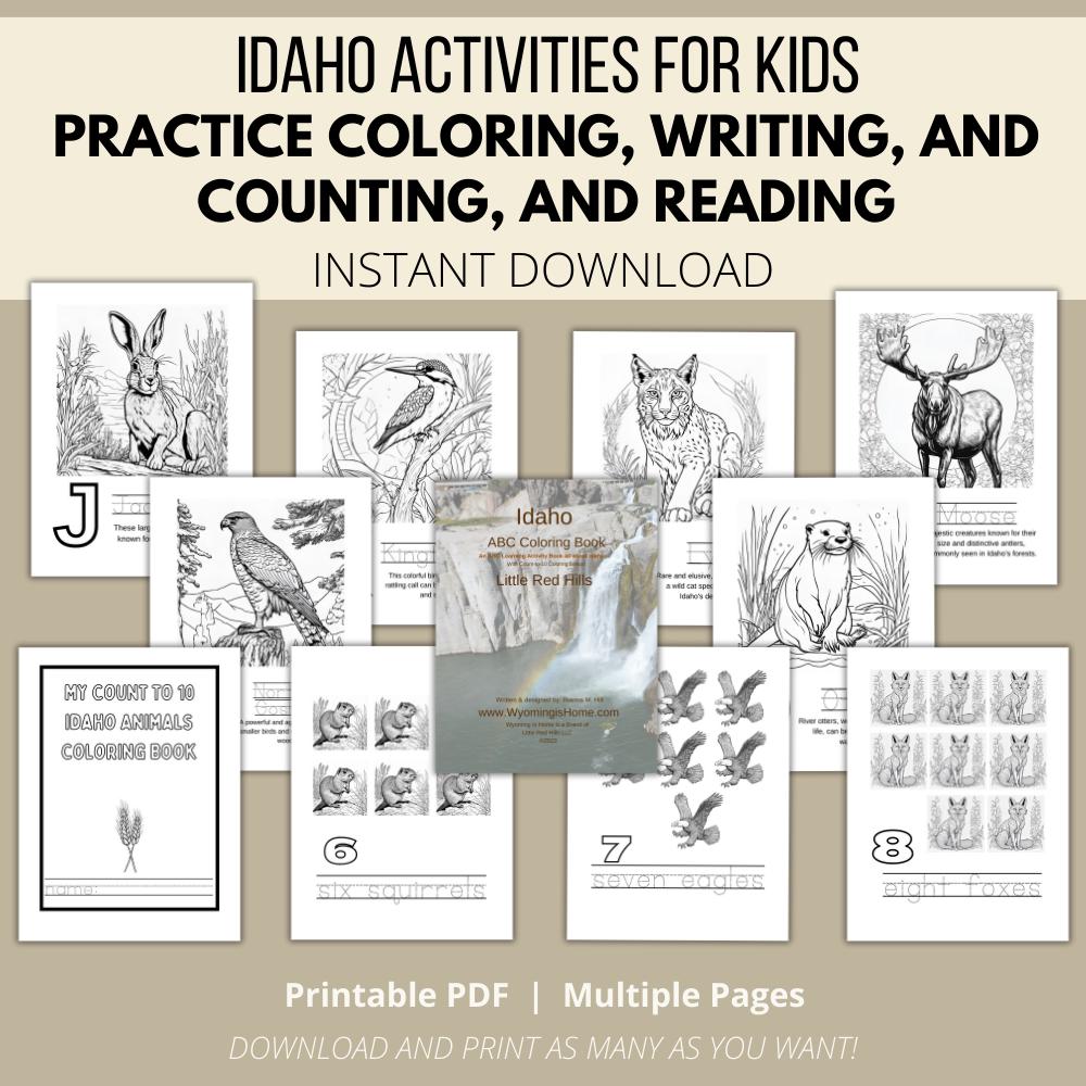 Idaho ABCs Coloring Book