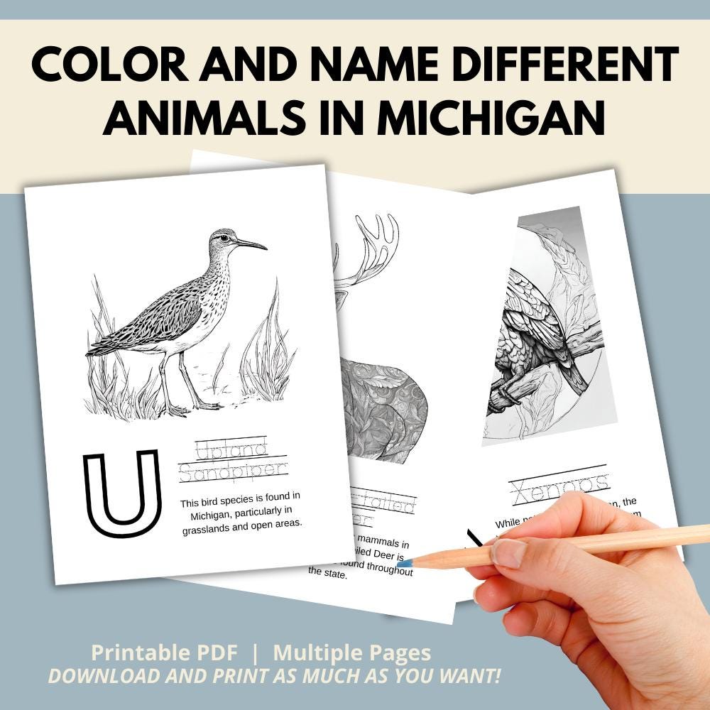 Michigan ABCs Coloring Book