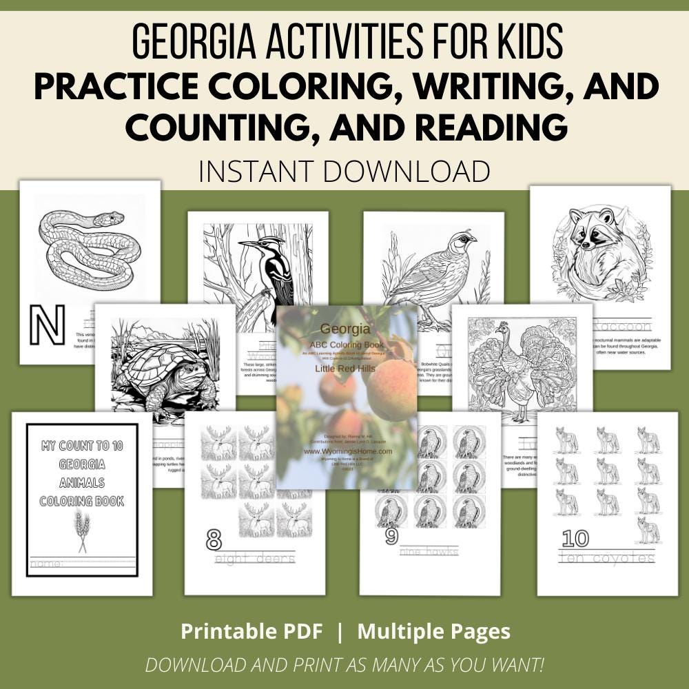 Georgia ABCs Coloring Book