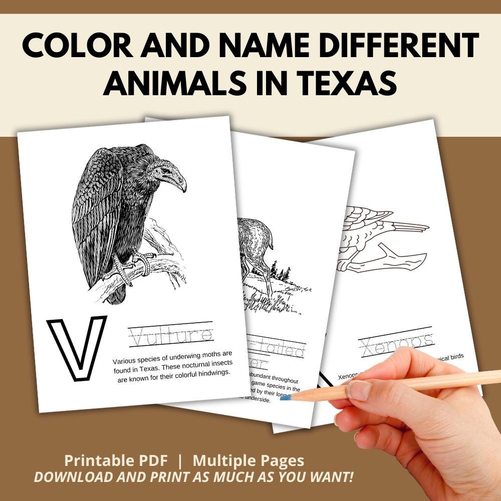 Texas ABCs Coloring Book