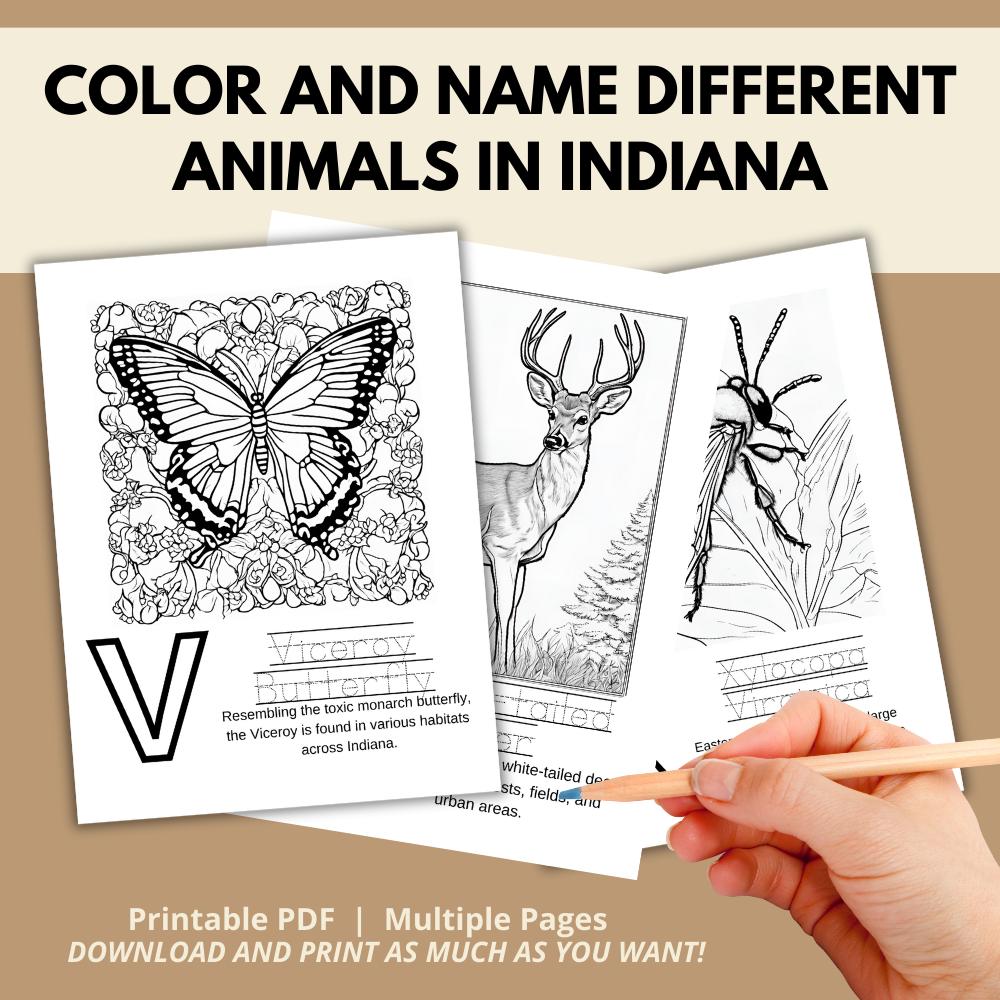 Indiana ABCs Coloring Book