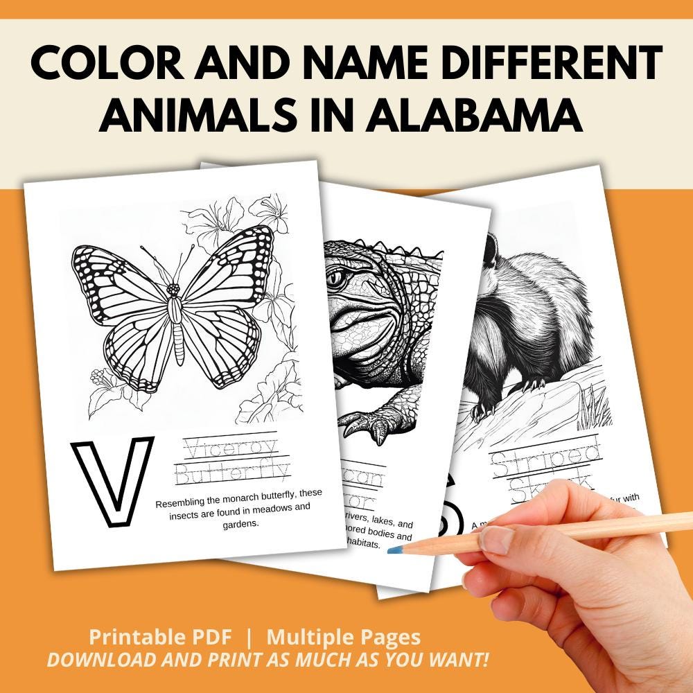 Alabama ABCs Coloring Book
