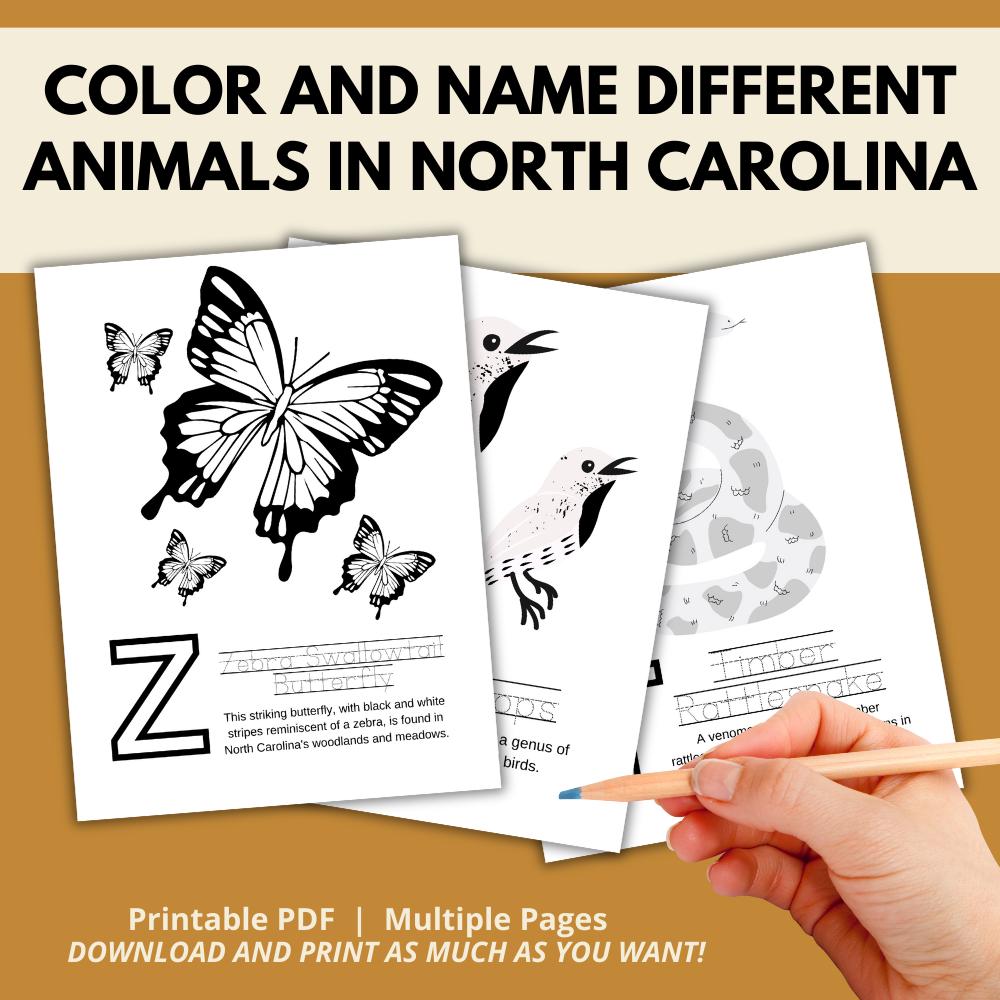 North Carolina ABCs Coloring Book
