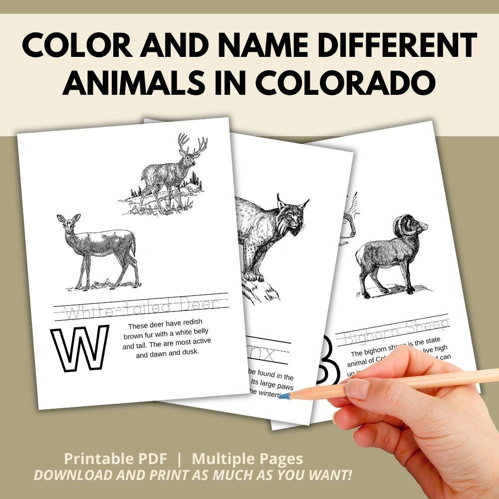 Colorado ABCs Coloring Book
