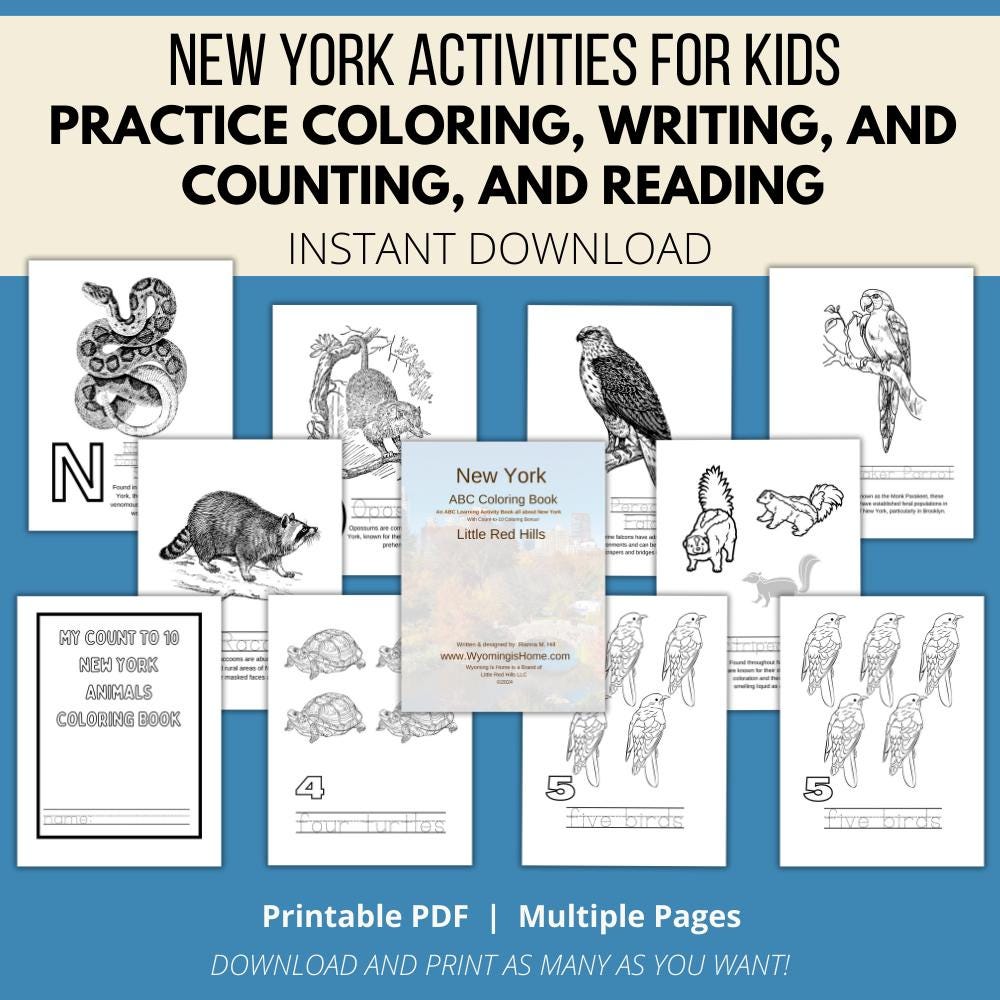 New York ABCs Coloring Book
