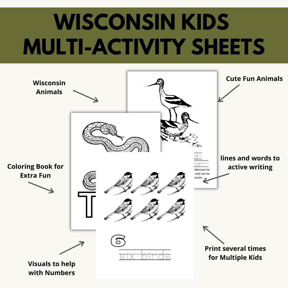 Wisconsin ABC Coloring Book