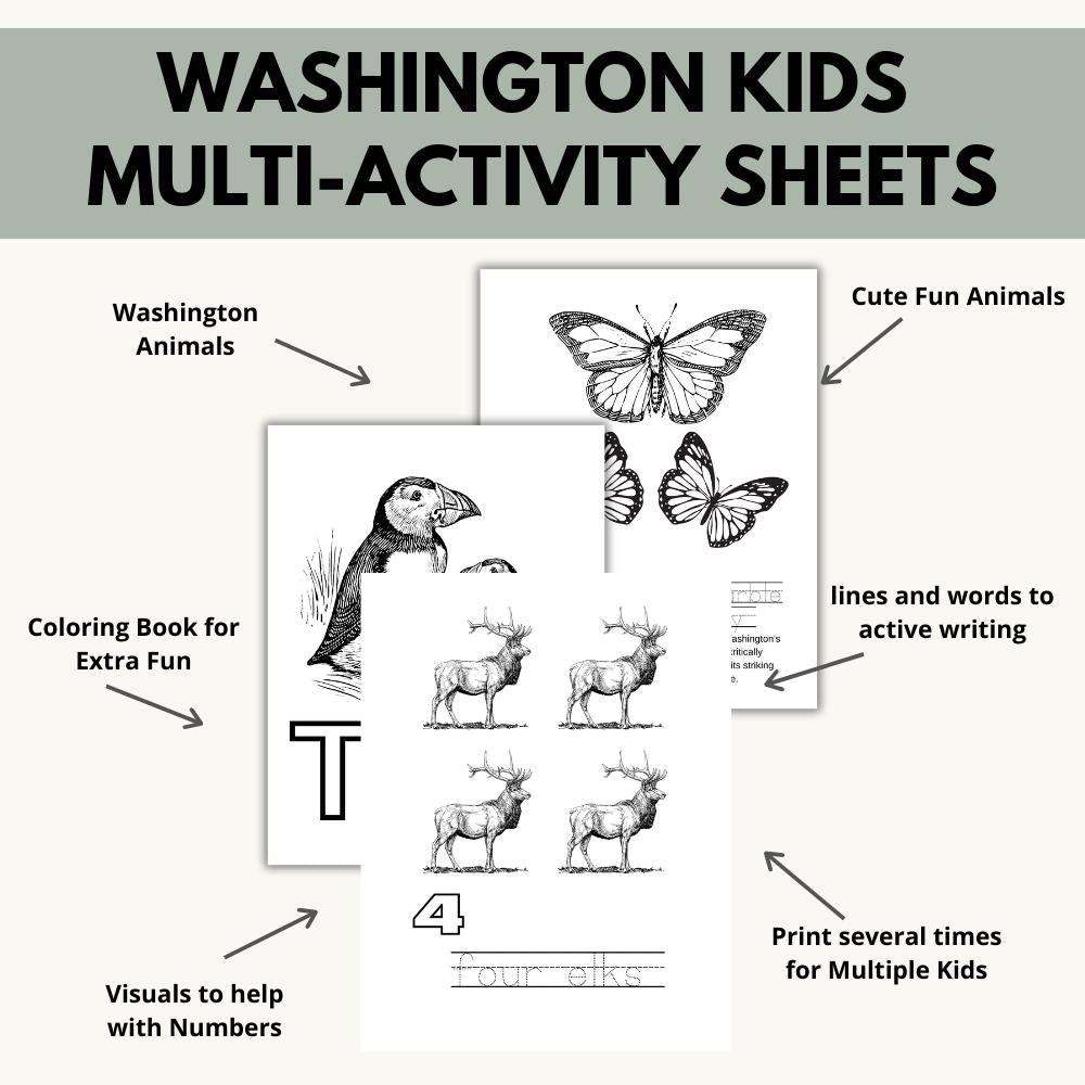 Washington ABCs Coloring Book